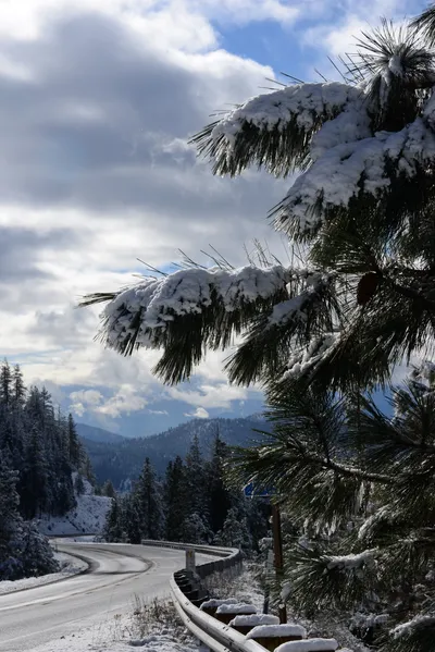 DSC_0779 (Large).JPG